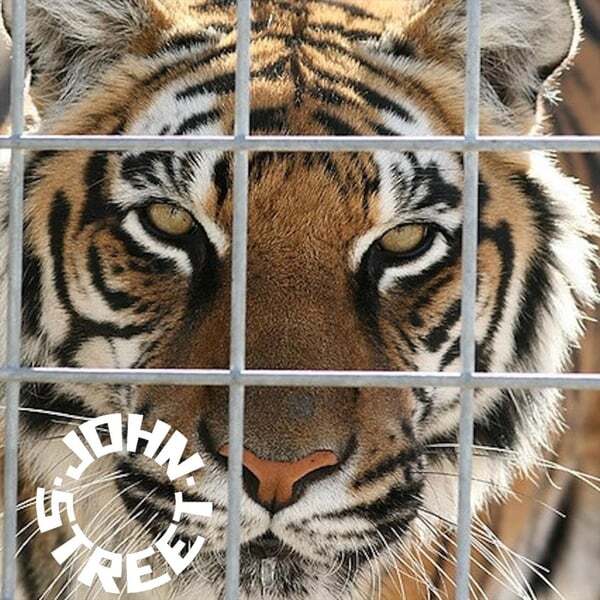 Cover art for Tiger in a Cage